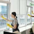 Sparkling Window Cleaning Services For Homes & Businesses