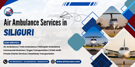 Lucknow, Health, Air Ambulance Services In Siliguri &ndash; Immediate Air ICU Access