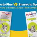 USD 35,  Bravecto Plus Vs Bravecto Spot-On - Which One Is Best For Your Cat!