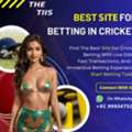Online IPL Betting Site | THE TIIS