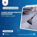 Carpet Drying Services In Melbourne &ndash; 24/7 Emergency Support