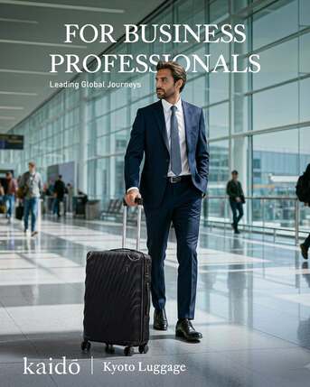 Haryana, Help, Buy Luggage Trolley Bags Online At The Best Prices