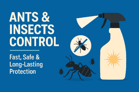 London, Pest Control, Professional Ant Pest Control Service &ndash; Safe, Pet-Friendly & Guaranteed Results