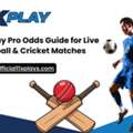 11xPlay Pro Odds Guide For Live Football & Cricket Matches