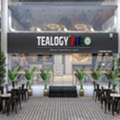 Best Tea Shop Franchise &ndash; Tealogy