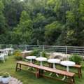 Best Restaurants In Dehradun For Family Dining &ndash; Foresta Cafe