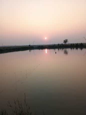 Mumbai, Jobs, Fish Keepar