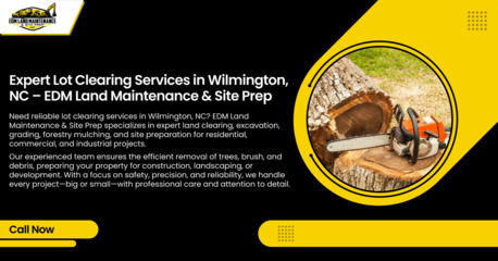 New York, Business, Land Clearing Contractor In Wilmington Nc