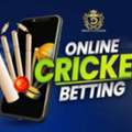 INR 100,  Online Cricket ID WhatsApp Number &ndash; Get Your Instant Cricket ID