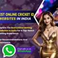 INR 100,  Best Online Cricket ID Provider In India | Step By Step Unlimited Guide