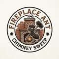 Fireplace Ant Chimney Sweep