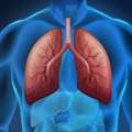 Lung Transplant Treatment