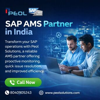 Bangalore, Financial, SAP AMS Partner In India | SAP Solution In Bangalore