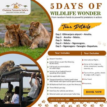 Dar es Salaam, Travel, Romantic Tanzania Honeymoon Travel Packages & Safaris