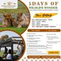 Romantic Tanzania Honeymoon Travel Packages & Safaris