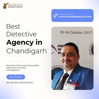Chandigarh Tricity, Legal, Best Detective Agency In Chandigarh