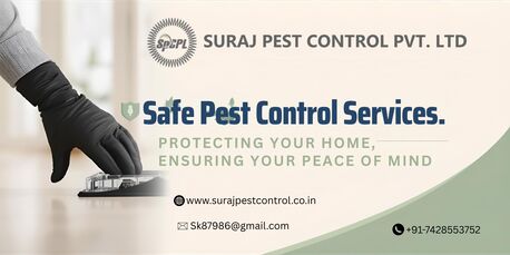New Delhi, Pest Control, Safe Pest Control Services In Uttam Nagar