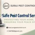 Safe Pest Control Services In Uttam Nagar