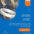 API Ring Gasket