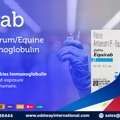 PHP 100,  Bulk Equirab Vaccine Supply For Hospitals Philippines - Oddway