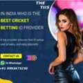 Cricket  Betting  ID | THE TIIS