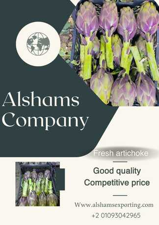 Milan, Farm & Garden, Fresh Artichoke