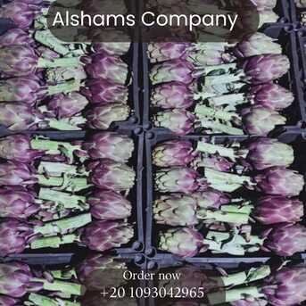 Milan, Farm & Garden, Fresh Artichoke