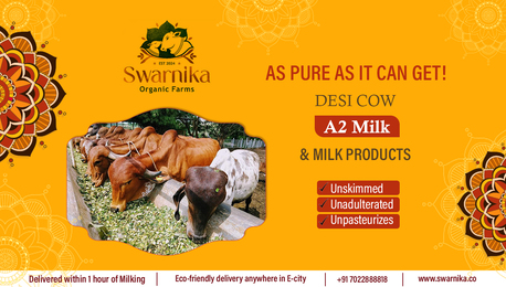 Bangalore, Food, INR 120,  Healthy Cow Milk Delivery In Bangalore