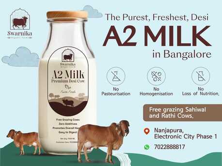 Bangalore, Food, INR 120,  Healthy Cow Milk Delivery In Bangalore