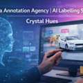 AI Data Annotation And Labelling- Crystalhues