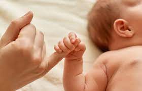 Kurnool, Health, Surrogacy Treatment Cost In Visakhapatnam - Ekmifertility