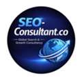 Professional SEO Consultant