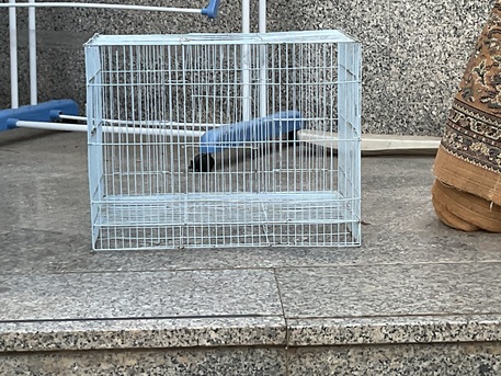 Al Rehab, Pet Supplies, SAR 20,  Birds Cage