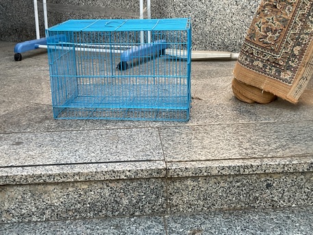 Al Rehab, Pet Supplies, SAR 20,  Birds Cage