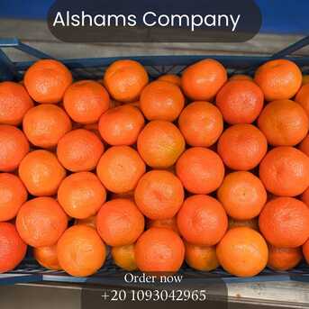 Milan, Farm & Garden, MURCOTT