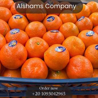 Milan, Farm & Garden, MURCOTT