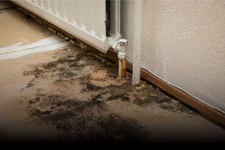 New York, Cleaning, Go Time Roofing And Restoration