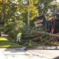 Emergency Tree Service In Rhode Island &ndash; By North EasternTree