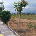 INR 28999,  350 Sq. Yard,  Gollur Plots For Sale - Contact 6305534817*