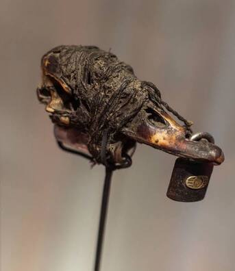 Rio de Janeiro, Creative, La Force Africaine Est Toujours Disponible Ici