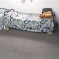 SAR 650/month,  Bed .  Space Available