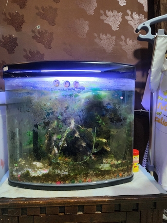 Hasa-Hofuf, Household Items, SAR 1000,  Wardrobes Cabinet Aquarium