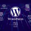 End-to-End WordPress Website Development Company With Built-In SEO