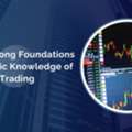 Build Strong Foundations With Basic Knowledge Of Trading