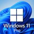INR 13699,  Buy Windows 11 Pro Online At Best Price | Genuine Windows 11 Pro License Key