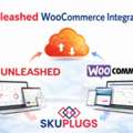 How Does Unleashed WooCommerce Integration Transform Inventory Control