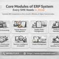 INR 500000,  Chemicals Industry ERP Software - Absolute