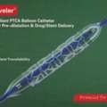 Catheter Delivery Systems For Specialists