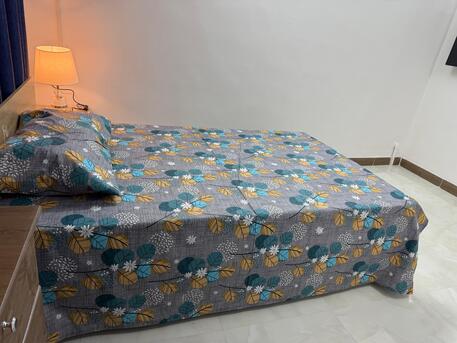 Olaya, Rooms for Rent, SAR 2500/month,  Furnished,  Executive   Single Rooms Available For Executive Bachelor
