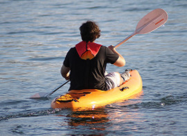 New York, Local News, Arizona Paddling